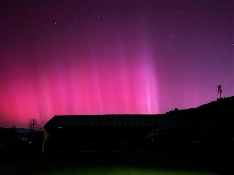 d5d5333c71dc9ab0cd9ae439fd481a7c_