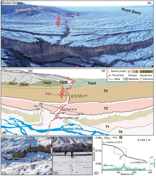 Figure 6_畫(huà)板 1