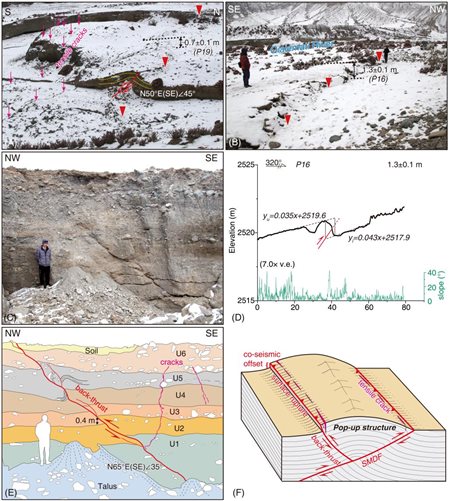 Figure 7_畫(huà)板 1